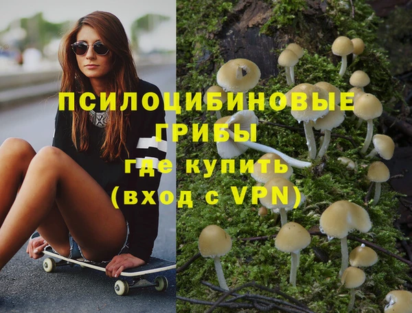 дурь Абаза