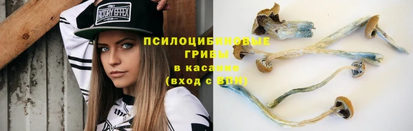 дурь Абаза