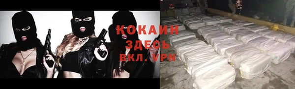 твердый Надым