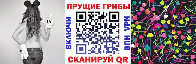 наркошоп  кракен сайт  Псилоцибиновые грибы Cubensis  Киренск 